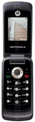Galeria zdjęć telefonu Motorola WX295