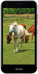 Galeria zdjęć telefonu Vestel Venus V5