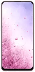 Galeria zdjęć telefonu Vivo S1